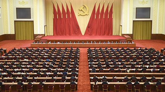 大型政務視頻會議